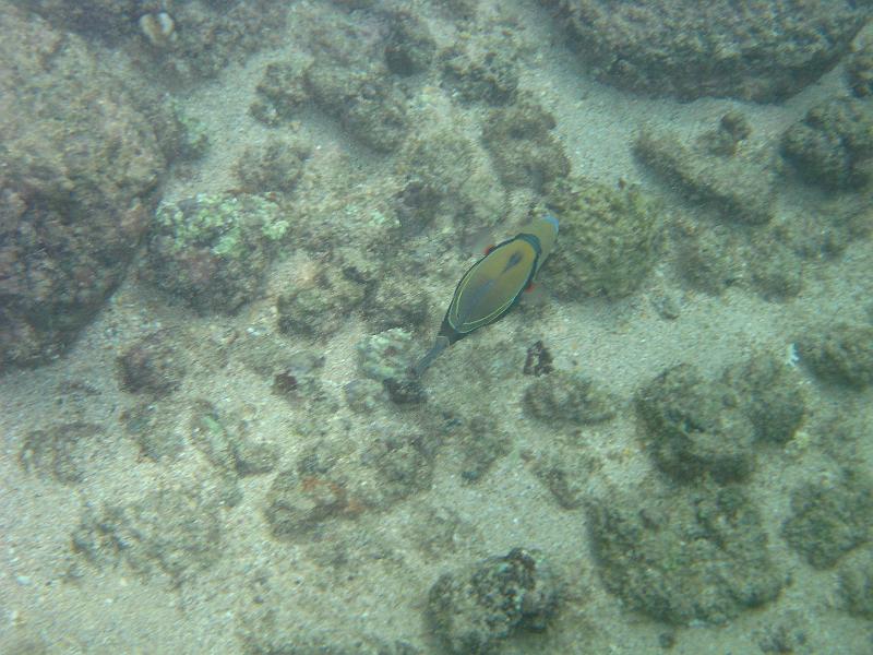 Picture 028